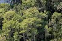Land for sale in Alachua County, Florida