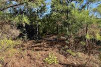 Land for sale in Jackson County, Florida