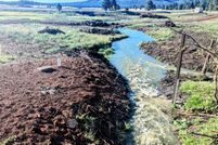 Homesite for sale in Apache County, Arizona