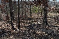 Undeveloped Land for sale in Sequoyah County, Oklahoma