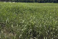 Land for sale in Izard County, Arkansas