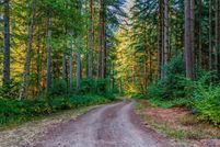 Land for sale in Clark County, Washington