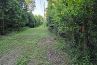 Land for sale in Alachua County, Florida