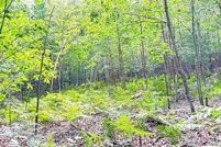 Undeveloped Land for sale in Isabella County, Michigan