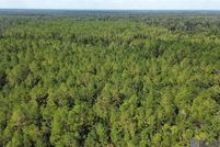 Land for sale in Livingston Parish, Louisiana