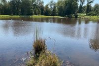 Land for sale in Pike County, Alabama