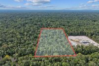 Land for sale in Dixie County, Florida