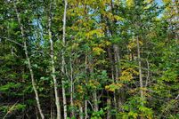 Land for sale in Kalkaska County, Michigan