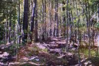 Land for sale in Saint Mary's County, Maryland