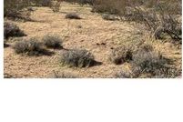 Undeveloped Land for sale in Mohave County, Arizona