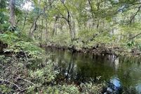 Timberland Property for sale in Levy County, Florida