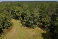 Land for sale in Lamar County, Alabama