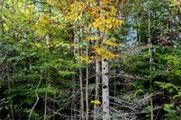 Farm and Ranch for sale in Kalkaska County, Michigan