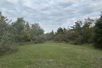 Undeveloped Land for sale in Presque Isle County, Michigan