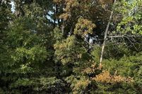 Homesite for sale in Butler County, Missouri