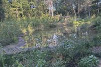 Undeveloped Land for sale in Calhoun County, Alabama