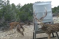 Land for sale in Edwards County, Texas