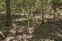 Undeveloped Land for sale in Shannon County, Missouri