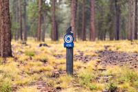 Undeveloped Land for sale in Deschutes County, Oregon