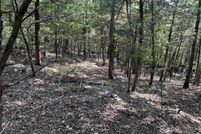 Undeveloped Land for sale in Marion County, Arkansas