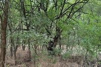 Land for sale in Murray County, Oklahoma