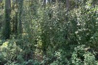 Land for sale in Leon County, Florida