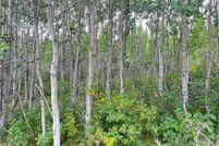 Land for sale in Douglas County, Wisconsin