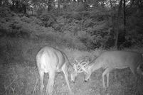 Land for sale in Richland County, Wisconsin