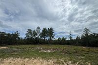 Timberland Property for sale in Marion County, Florida