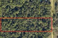 Undeveloped Land for sale in Hernando County, Florida