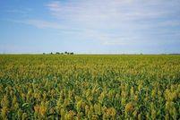 Land for sale in Edwards County, Kansas