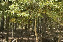 Land for sale in Pike County, Pennsylvania