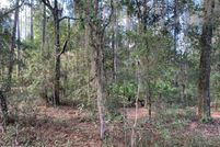 Land for sale in Putnam County, Florida
