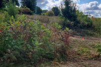 Undeveloped Land for sale in Chippewa County, Wisconsin