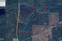Undeveloped Land for sale in Ouachita County, Arkansas