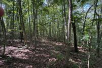 Land for sale in Madison County, Virginia