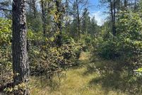 Land for sale in Juneau County, Wisconsin