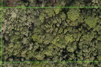 Undeveloped Land for sale in Hernando County, Florida