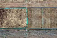 Undeveloped Land in Clayton County, Iowa