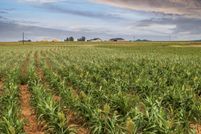 Land for sale in Hockley County, Texas