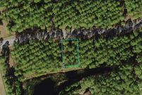 Undeveloped Land for sale in Franklin County, Florida