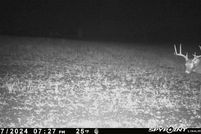 Land for sale in Eau Claire County, Wisconsin