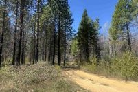 Undeveloped Land for sale in Plumas County, California