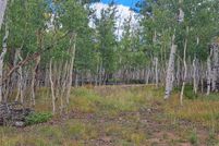 Farm and Ranch for sale in Park County, Colorado