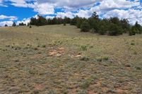 Undeveloped Land for sale in Park County, Colorado