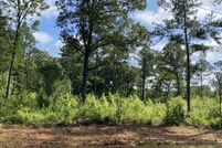 Undeveloped Land for sale in Monroe County, Georgia