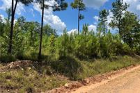 Land for sale in Lee County, Alabama