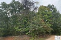 Undeveloped Land for sale in Henry County, Virginia