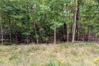 Undeveloped Land for sale in Arenac County, Michigan