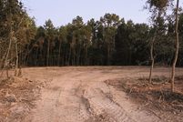 Undeveloped Land for sale in Livingston Parish, Louisiana